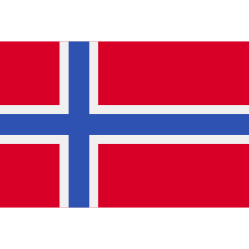 bildet viser Flagg Norge